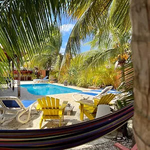 Gasthof Oasis Guesthouse, Boutique Style Playa